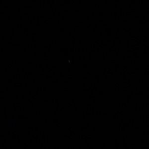 Meet your Posher, Gavin